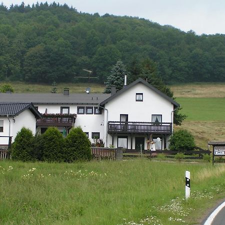 Pension Haus Liesertal Üdersdorf Buitenkant foto