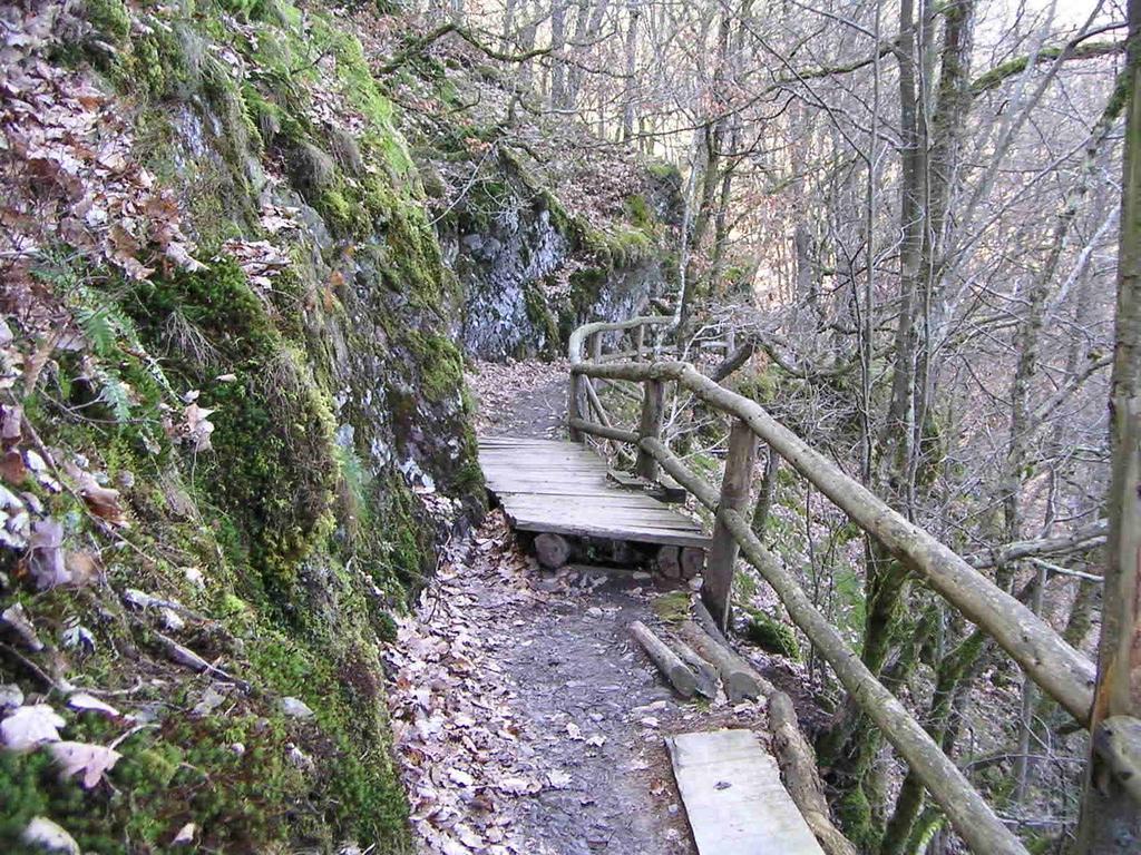Pension Haus Liesertal Üdersdorf Buitenkant foto