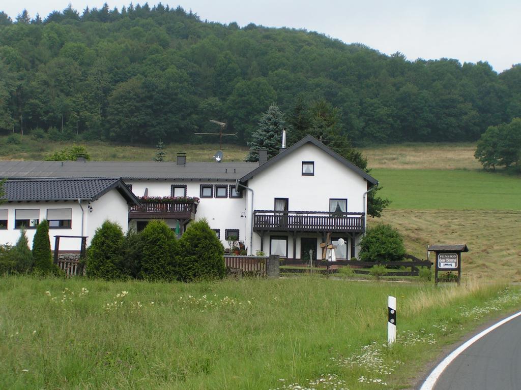 Pension Haus Liesertal Üdersdorf Buitenkant foto