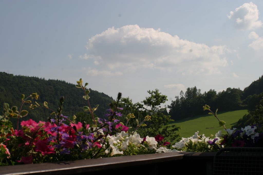 Pension Haus Liesertal Üdersdorf Buitenkant foto