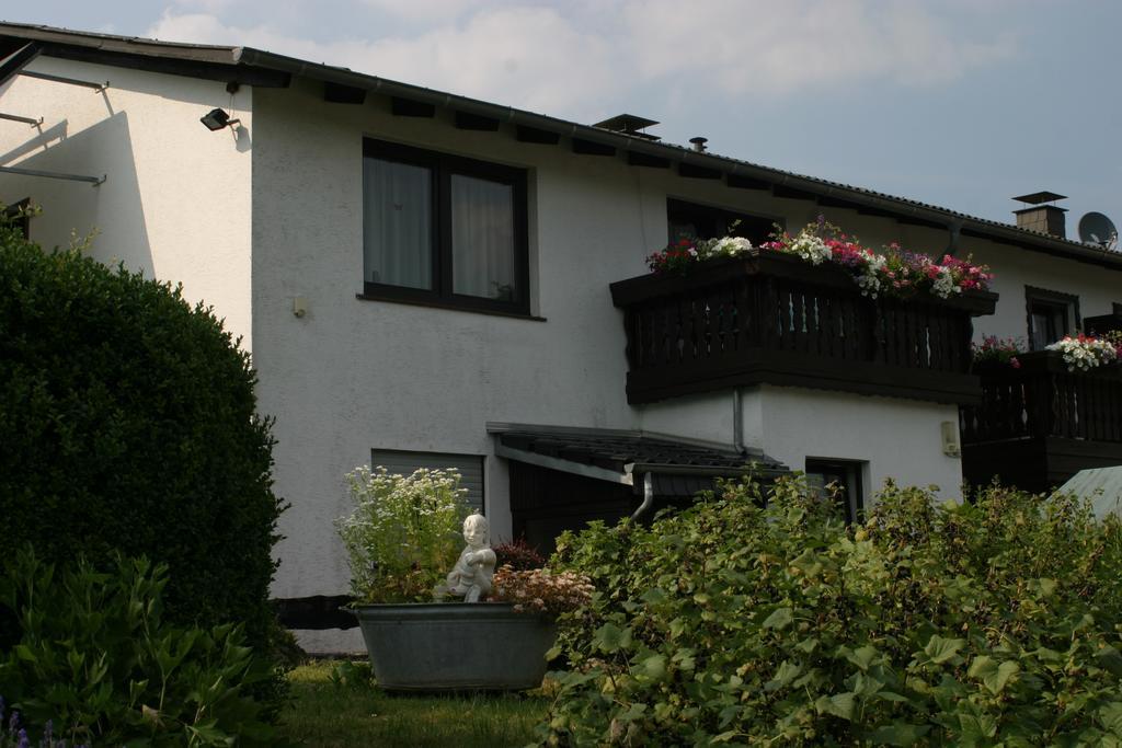 Pension Haus Liesertal Üdersdorf Buitenkant foto