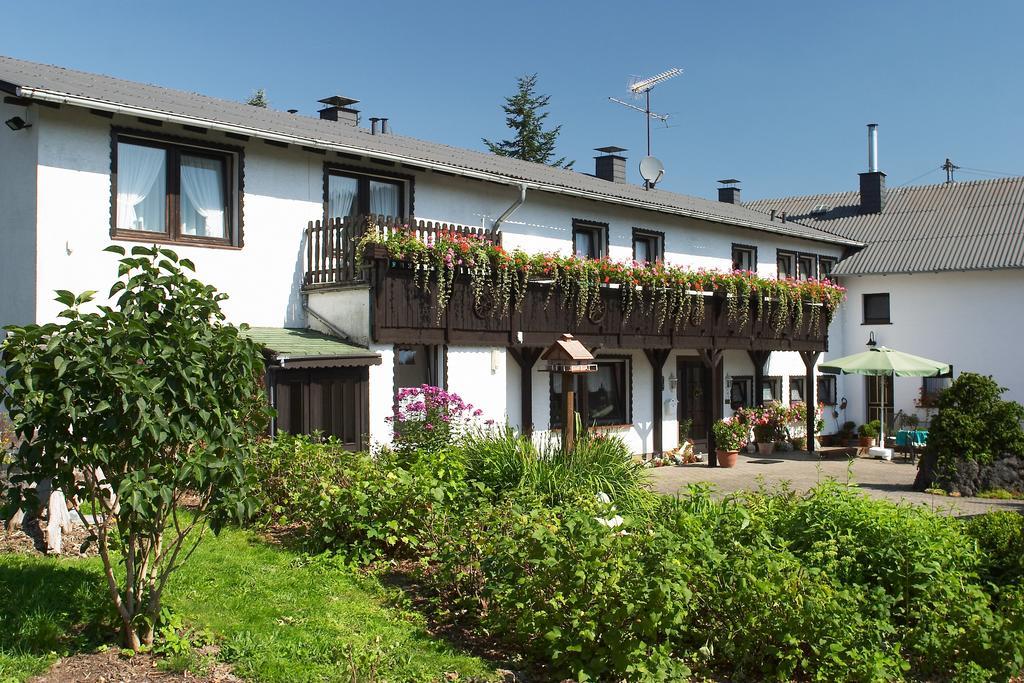 Pension Haus Liesertal Üdersdorf Buitenkant foto