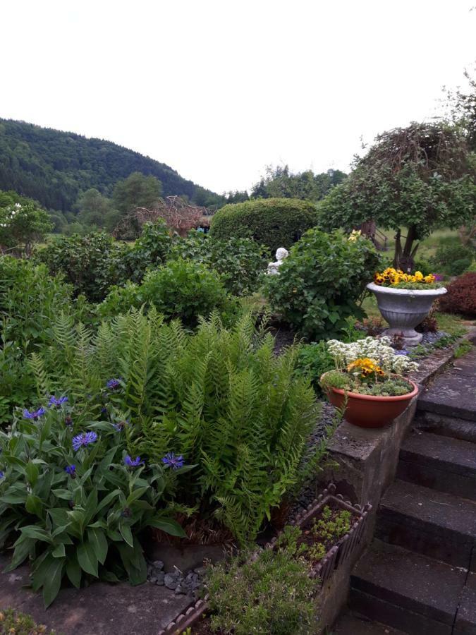 Pension Haus Liesertal Üdersdorf Kamer foto