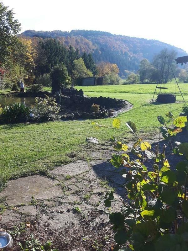 Pension Haus Liesertal Üdersdorf Buitenkant foto