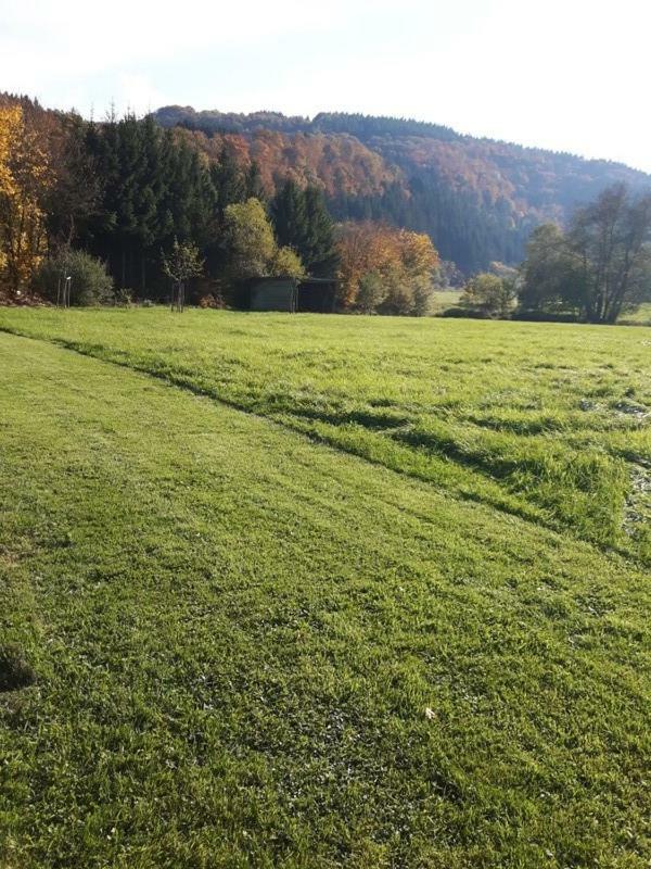 Pension Haus Liesertal Üdersdorf Buitenkant foto