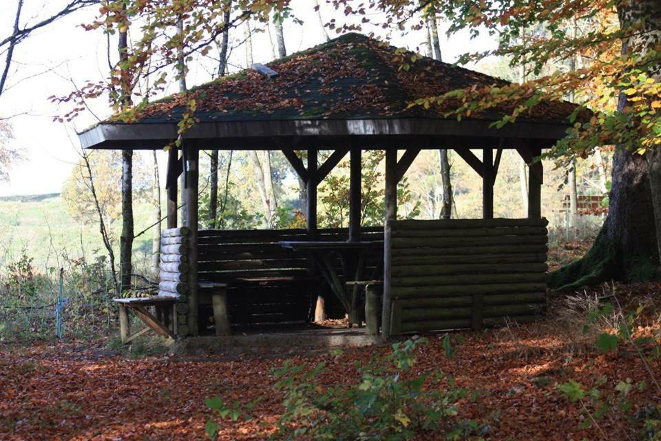 Pension Haus Liesertal Üdersdorf Buitenkant foto
