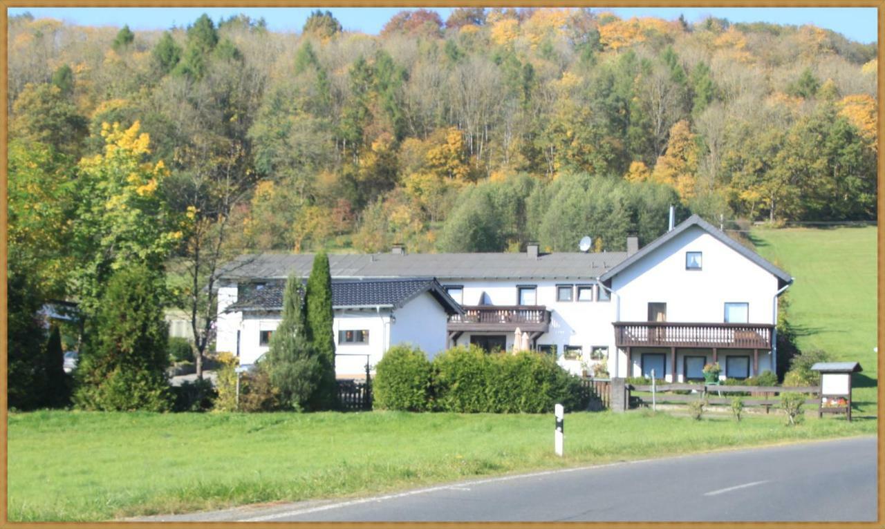 Pension Haus Liesertal Üdersdorf Buitenkant foto